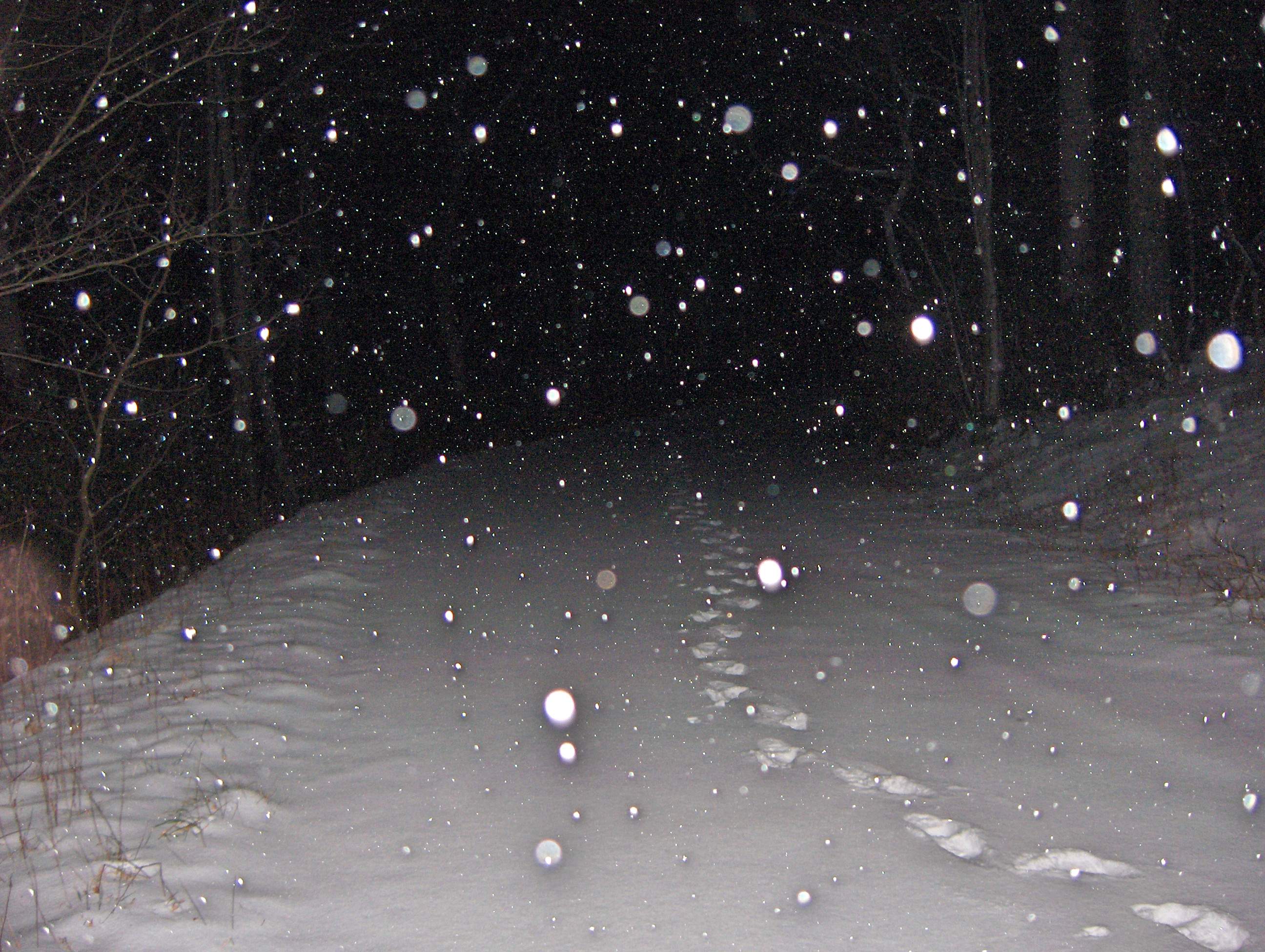 snow1.jpg