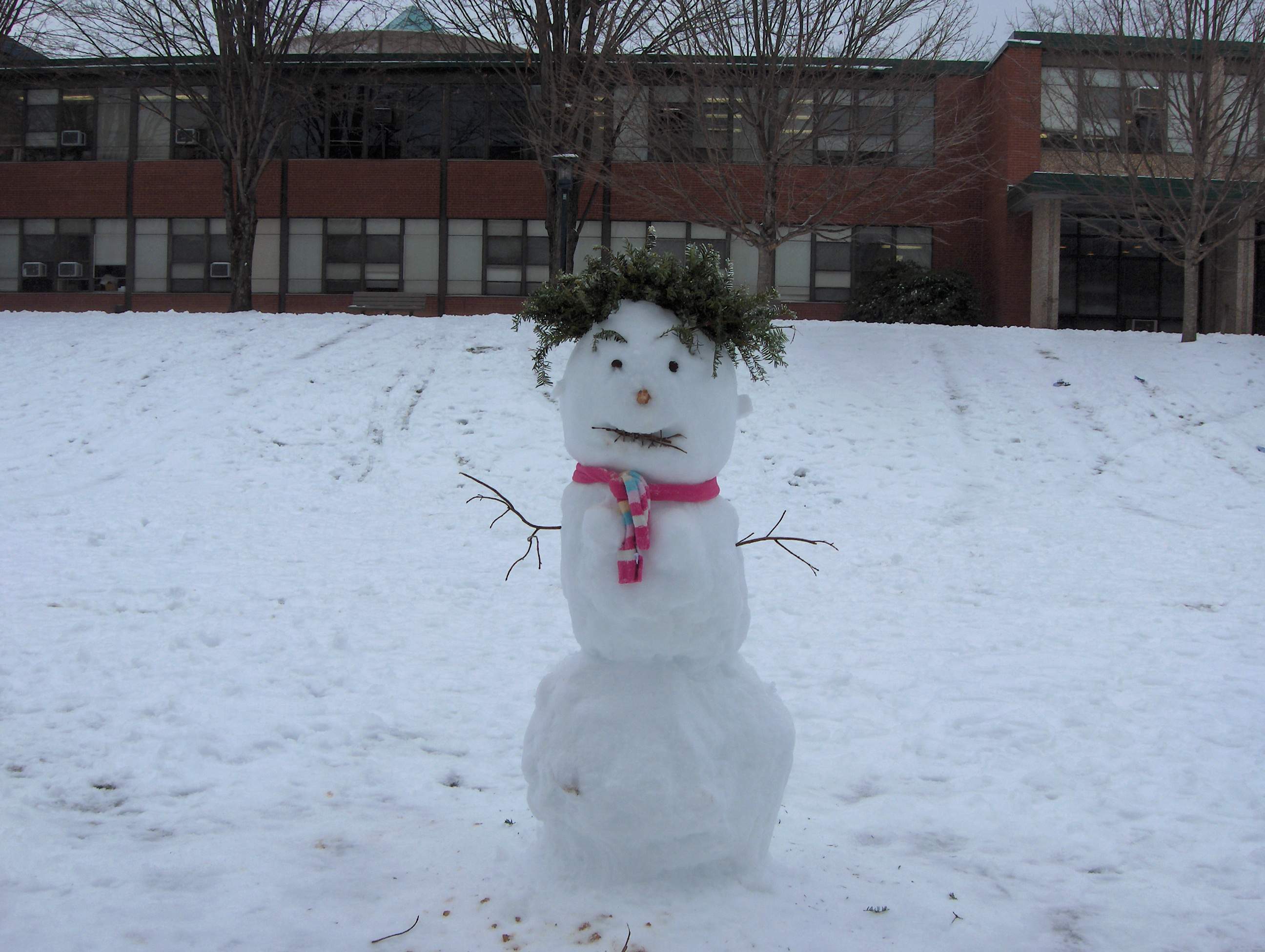 snow5.jpg